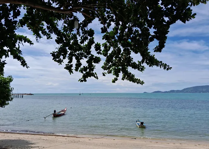At Samui Haus